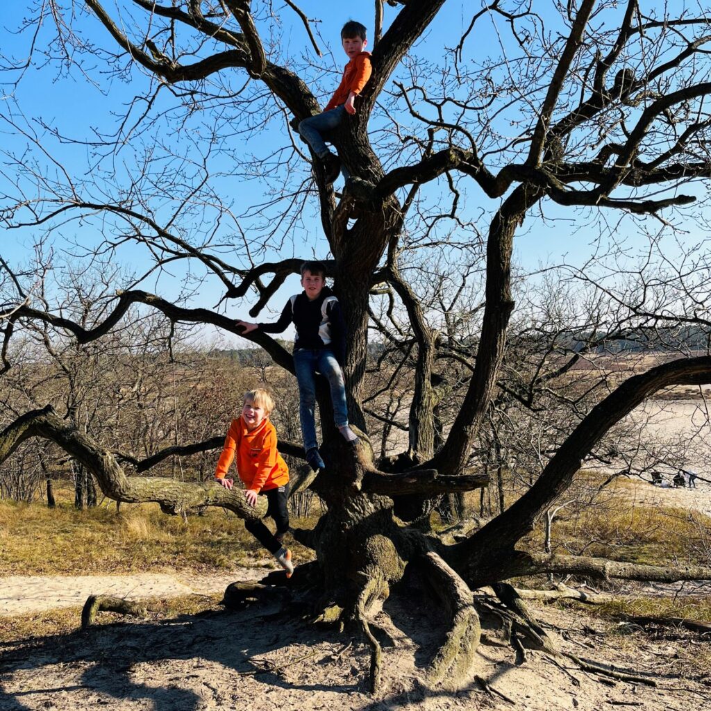 kinderen in een boom